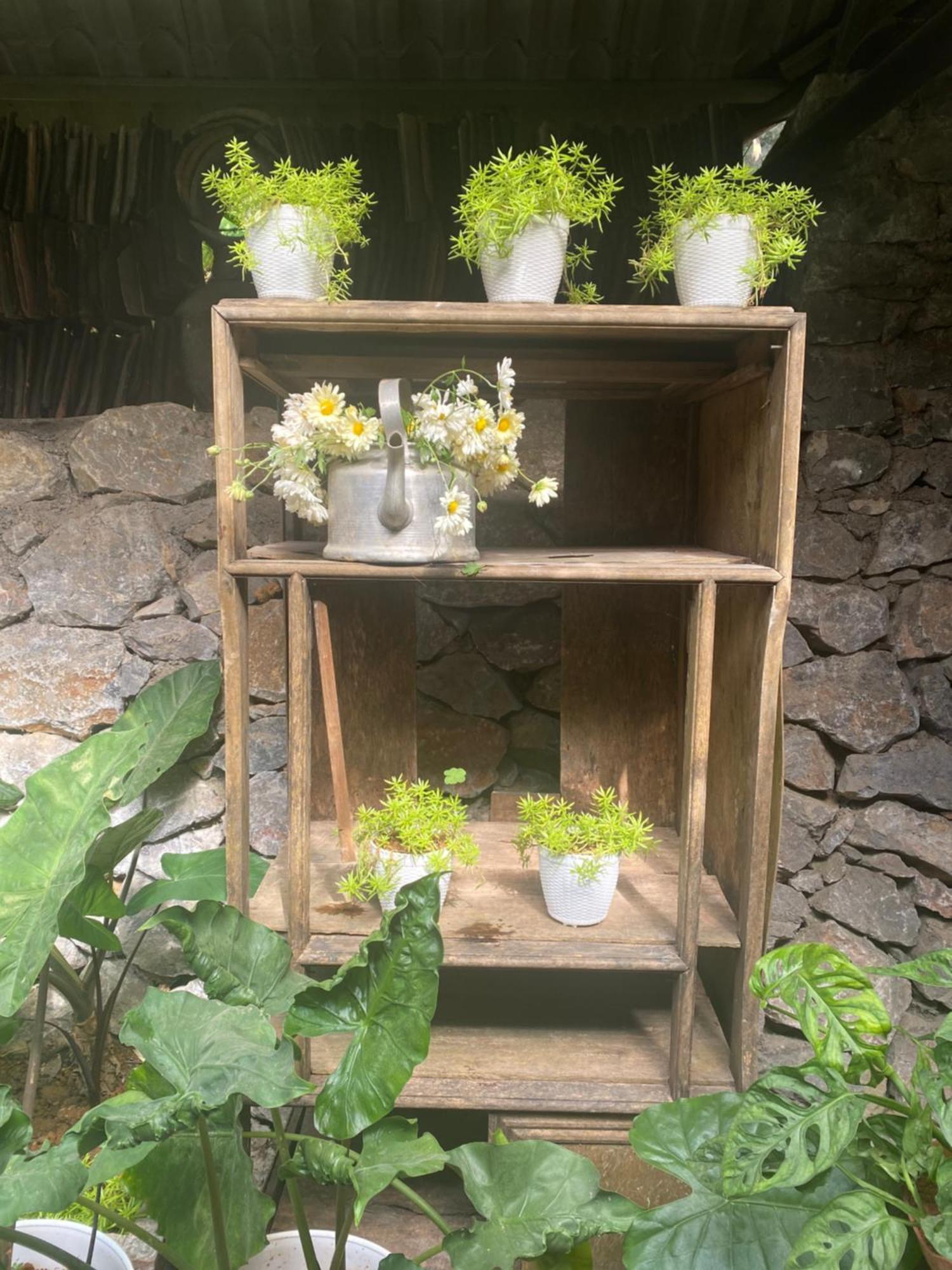 Le Petit Home Dong Van  Extérieur photo